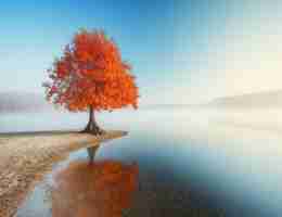 高‌效​301重‍定​向‌方‌法​